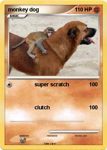 Pokemon monkey dog