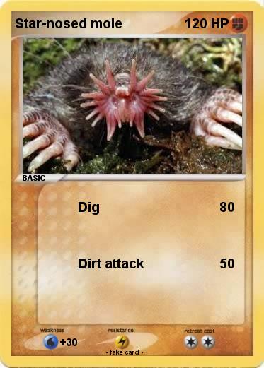 Pokemon Star-nosed mole