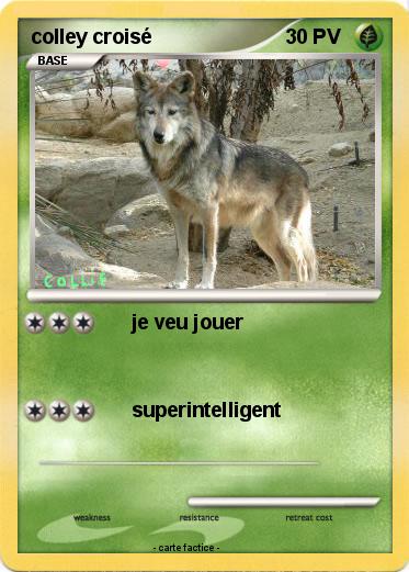 Pokemon colley croisé