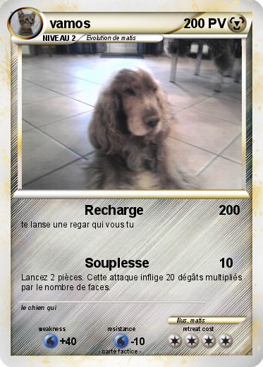 Pokemon vamos