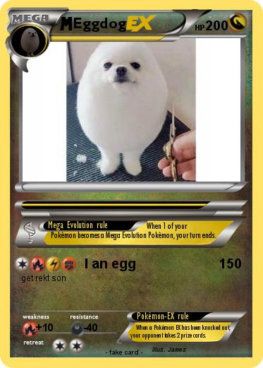 Pokemon Eggdog