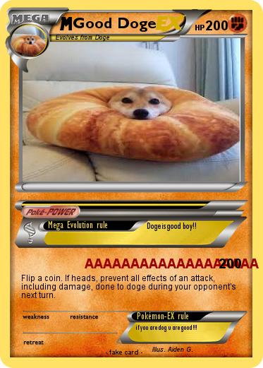 Pokemon Good Doge