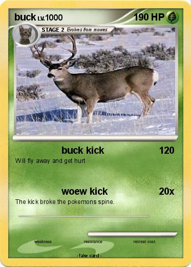 Pokemon buck
