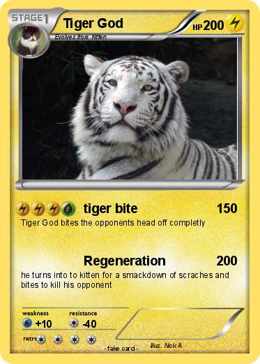Pokemon Tiger God