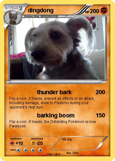 Pokemon dingdong