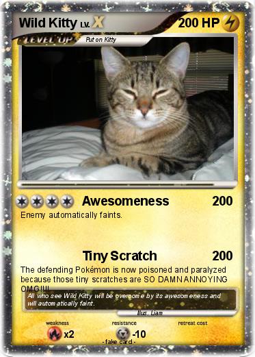 Pokemon Wild Kitty
