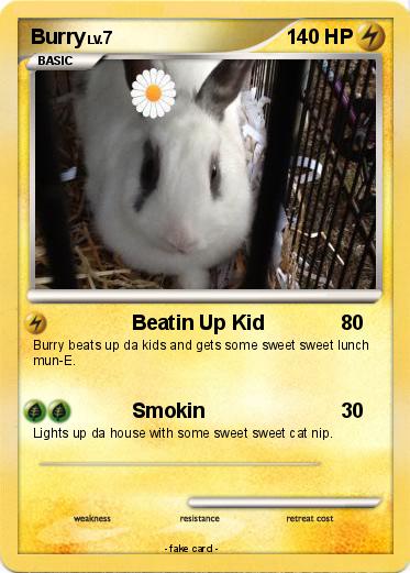 Pokemon Burry