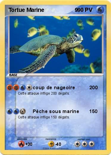 Pokemon Tortue Marine                    9