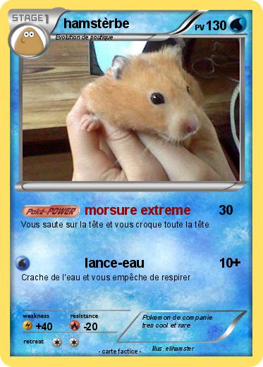 Pokemon hamstèrbe