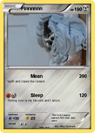 Pokemon Finnnnnn