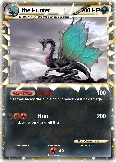 Pokemon the Hunter