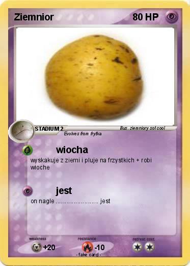 Pokemon Ziemnior