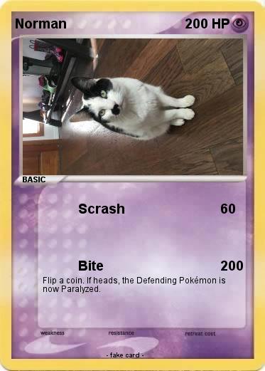 Pokemon Norman