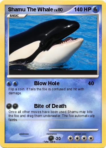 Pokemon Shamu The Whale