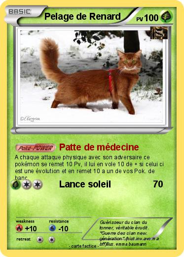 Pokemon Pelage de Renard