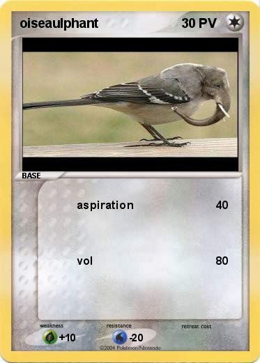 Pokemon oiseaulphant