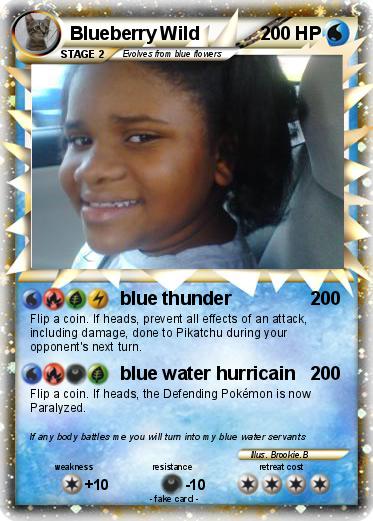 Pokemon Blueberry Wild