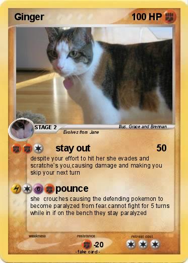 Pokemon Ginger