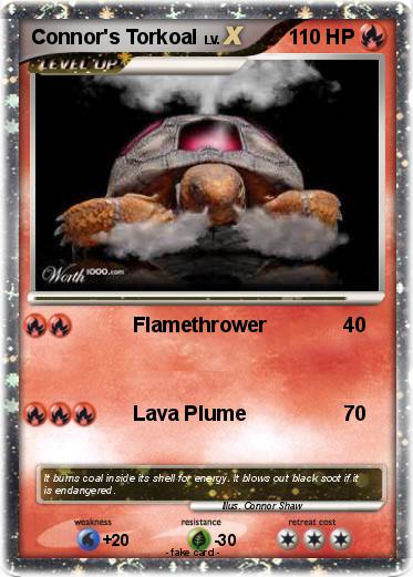Pokemon Connor's Torkoal