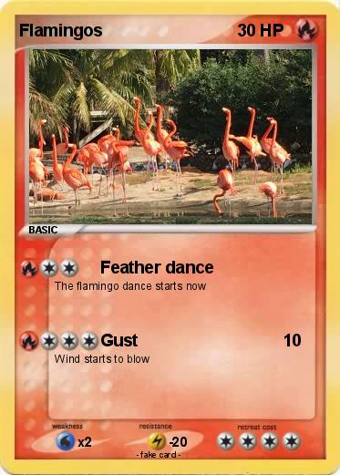 Pokemon Flamingos