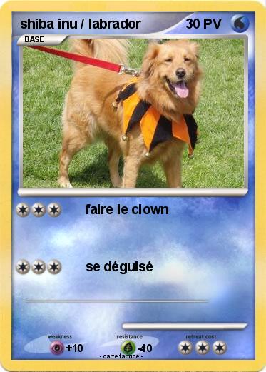 Pokemon shiba inu / labrador