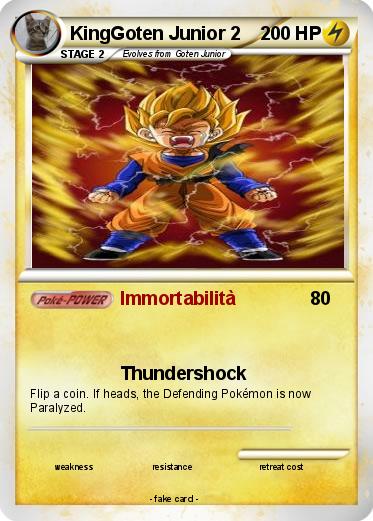 Pokemon KingGoten Junior 2