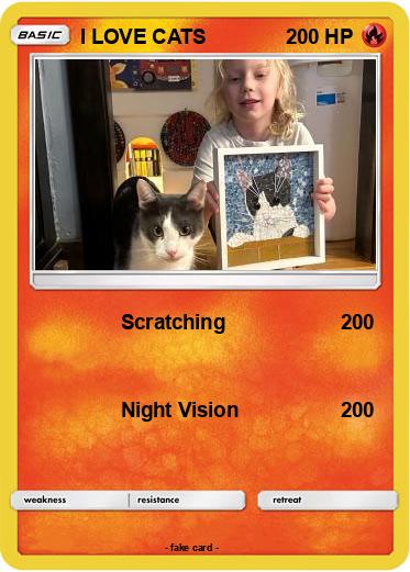 Pokemon I LOVE CATS