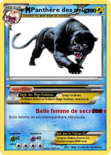 Pokemon Panthère des neiges