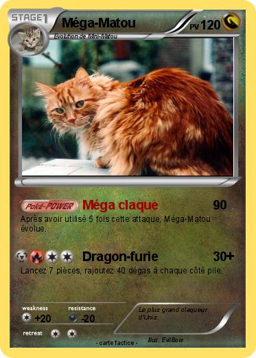 Pokemon Méga-Matou