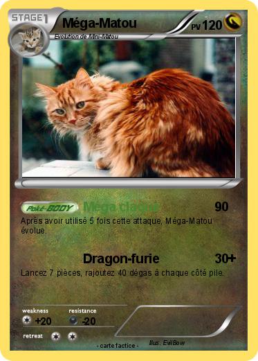 Pokemon Méga-Matou
