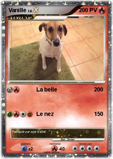 Pokemon Vanille