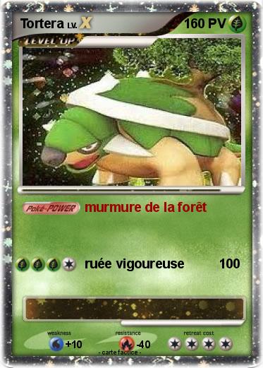 Pokemon Tortera