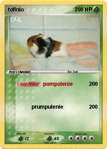 Pokemon tofinio