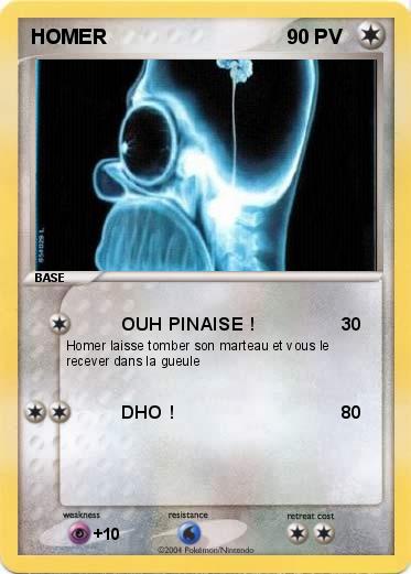 Pokemon HOMER