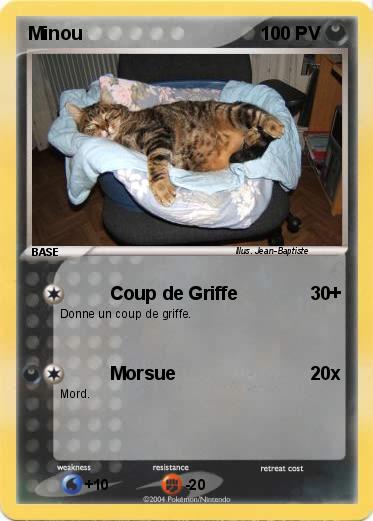 Pokemon Minou