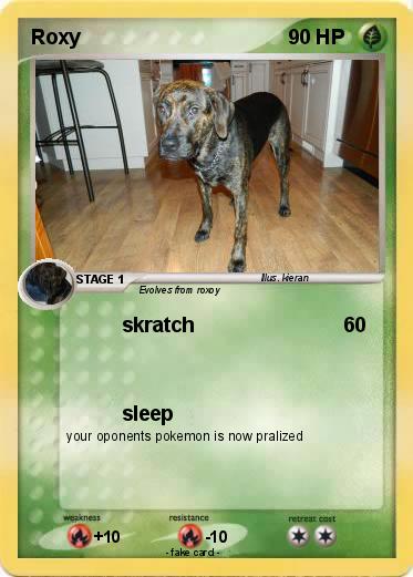 Pokemon Roxy
