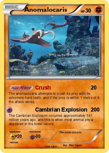Pokemon Anomalocaris