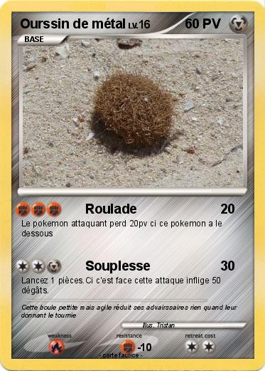 Pokemon Ourssin de métal