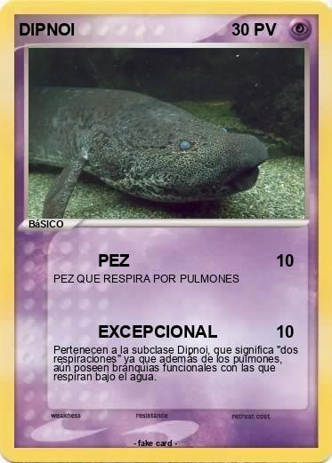 Pokemon DIPNOI