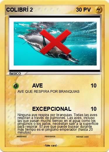 Pokemon COLIBRÍ 2