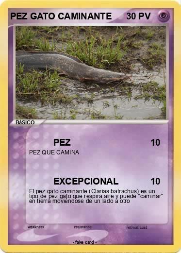 Pokemon PEZ GATO CAMINANTE