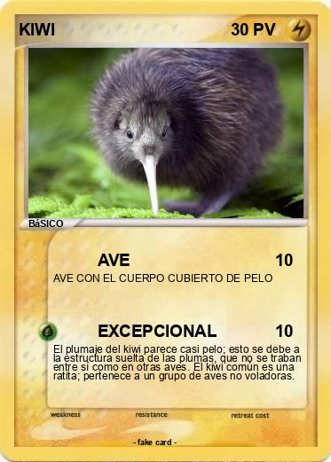 Pokemon KIWI