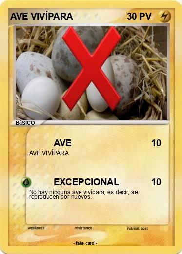 Pokemon AVE VIVÍPARA