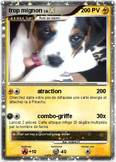 Pokemon trop mignon