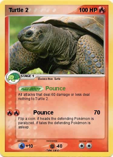 Pokemon Turtle 2