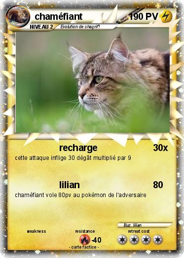 Pokemon chaméfiant