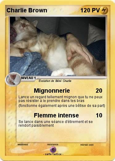 Pokemon Charlie Brown