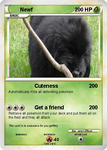 Pokemon Newf
