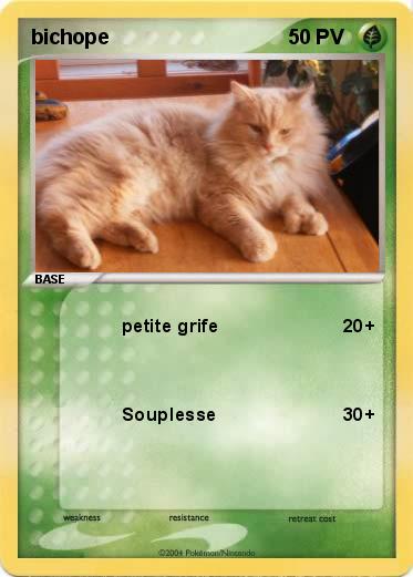 Pokemon bichope