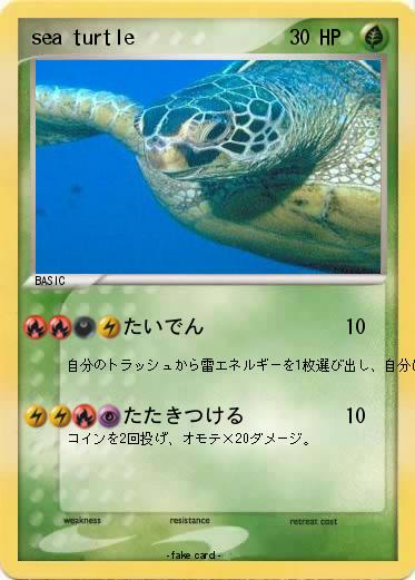 Pokemon sea turtle